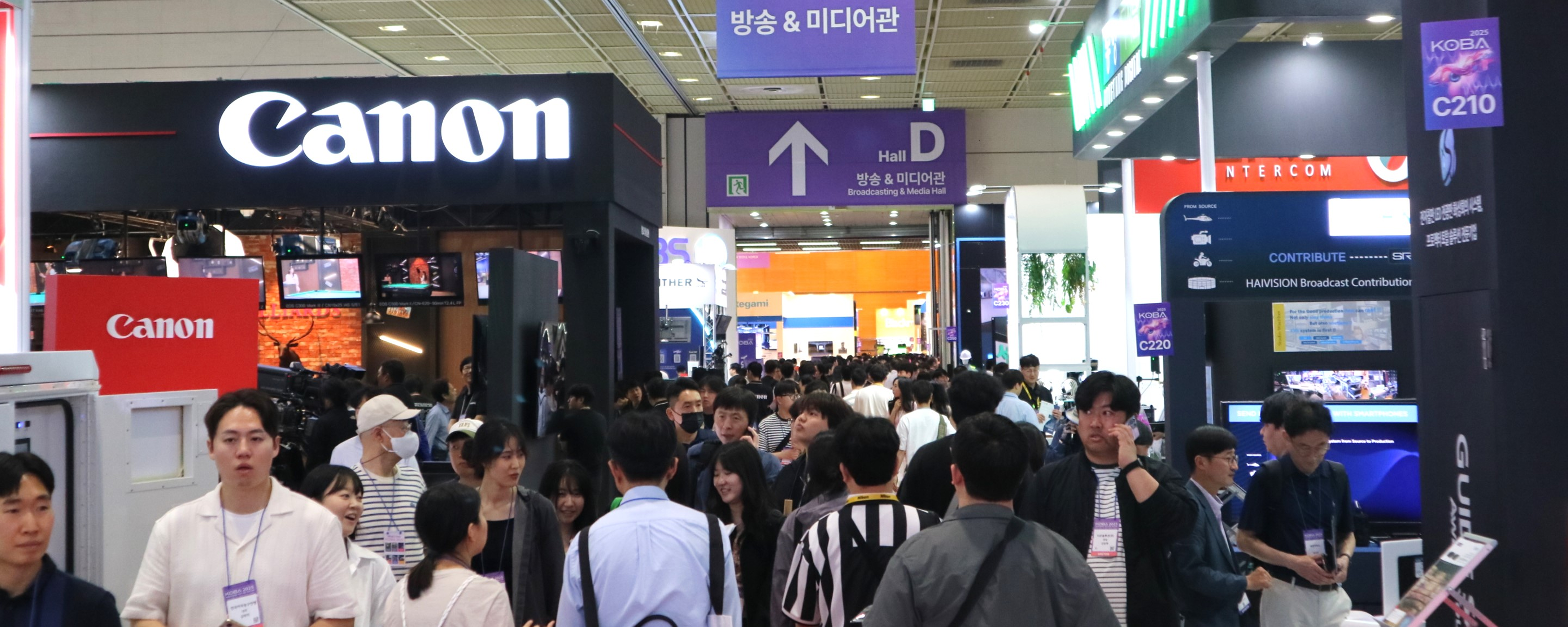 introduce_exhibition